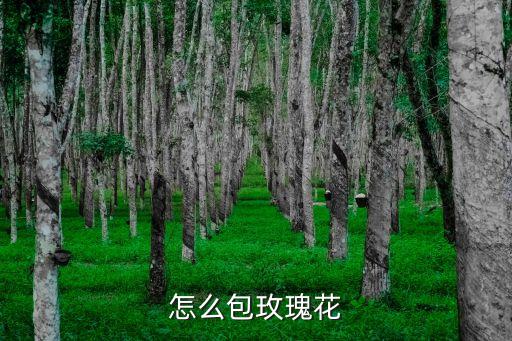 怎么包花，怎么包玫瑰花