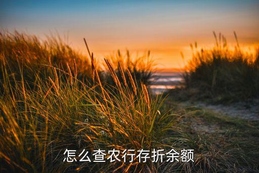 怎么查农行存折余额