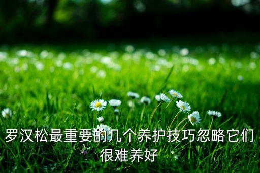 罗汉松的养殖方法，罗汉松的养殖方法