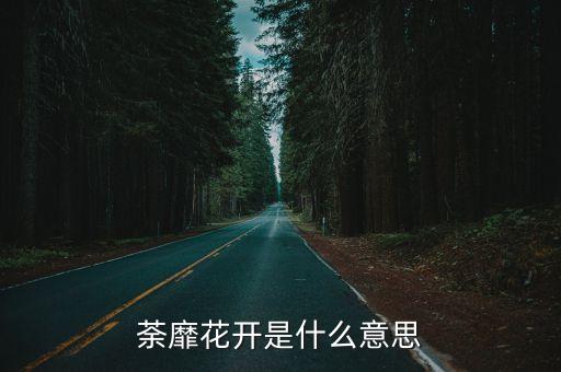 荼靡花开，荼蘼花开代表什么