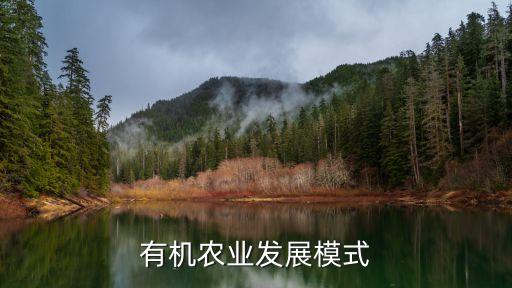 有机农业发展模式