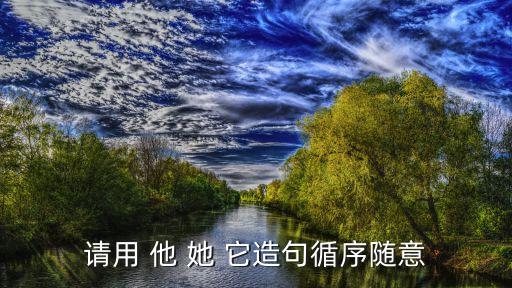 请用 他 她 它造句循序随意
