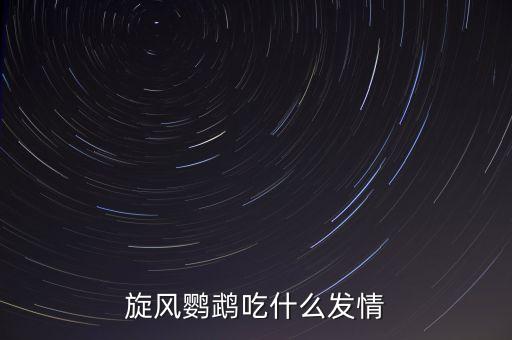 旋风鹦鹉吃什么发情