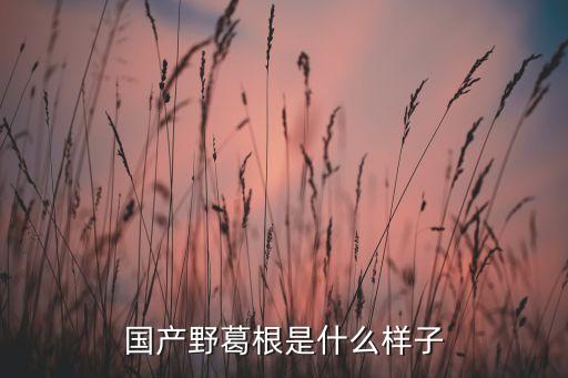 葛根长什么样，国产野葛根是什么样子