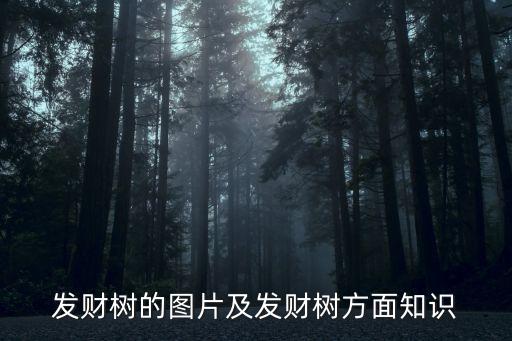 满山红图片，关于满江红 岳飞诗句的图片