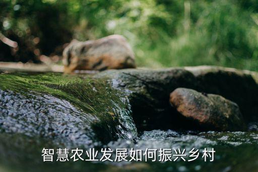智慧农业发展如何振兴乡村