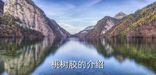 桃树胶，桃树胶的介绍