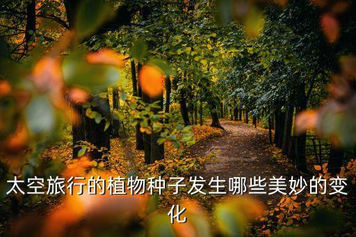 太空里的植物图片，好奇号在火星拍到了一朵花吗