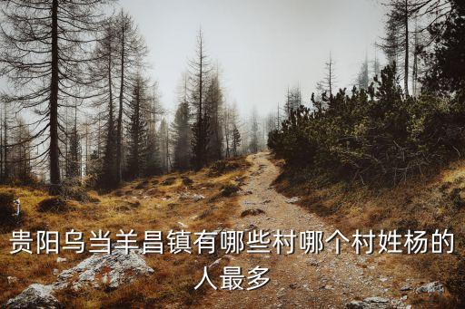 羊昌花画小镇，贵阳乌当羊昌镇有哪些村哪个村姓杨的人最多