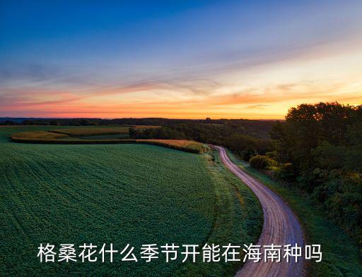 格桑花几月份种，格桑花12月能播种吗