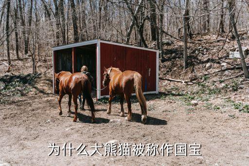 为什么大熊猫被称作国宝