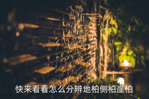 地柏，爬地柏的介绍