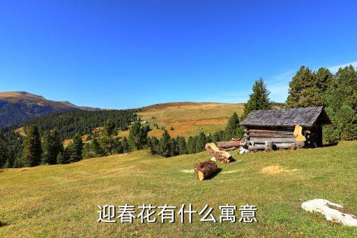 迎春花的寓意和象征，迎春花的花语