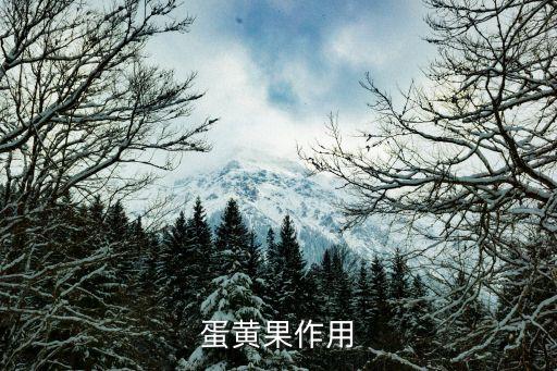 蛋黄果作用
