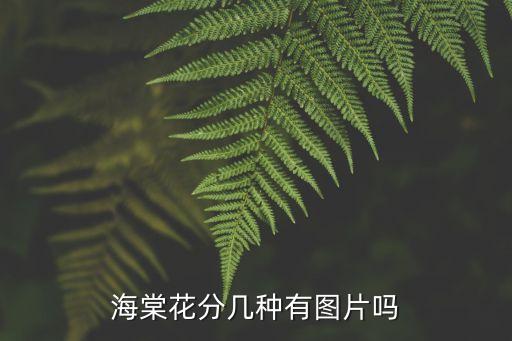 海棠花图片大全大图，海棠花分几种有图片吗