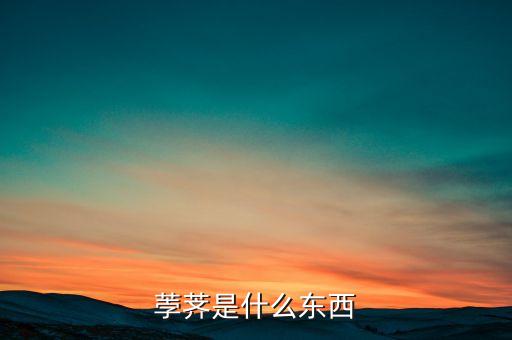 荸荠是什么东西