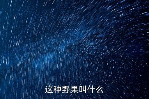 这种野果叫什么