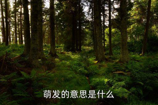 萌发的意思是什么