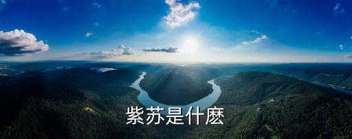 紫苏是什麽