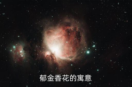 郁金香的寓意，郁金香花象征什么
