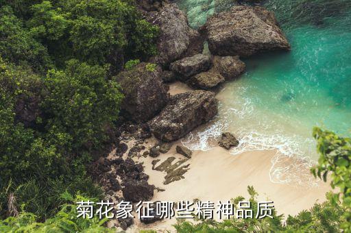 菊花象征哪些精神品质