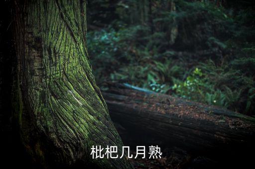 枇杷成熟的季节是几月，枇杷几月成熟拜托各位大神