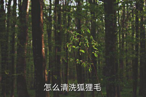 怎么清洗狐狸毛