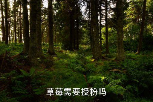 草莓需要授粉吗，草莓结果实需要授粉么