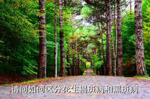 请问如何区分花生褐斑病和黑斑病
