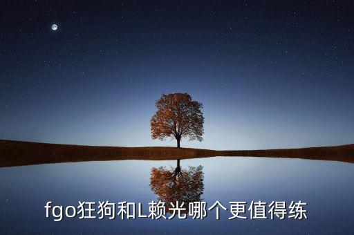 赖光，fgo狂狗和L赖光哪个更值得练