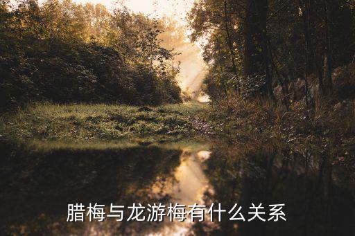 腊梅与龙游梅有什么关系