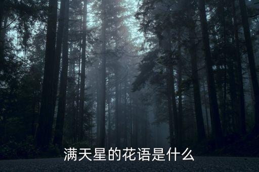 蓝色满天星的花语，满天星的花语是什么吖