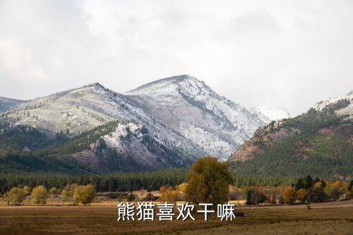 熊猫喜欢干嘛