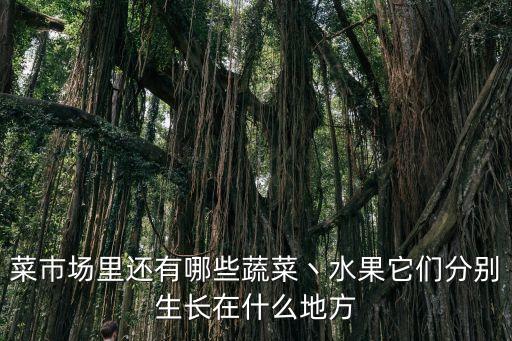 菜巿场里还有哪些蔬菜丶水果它们分别生长在什么地方