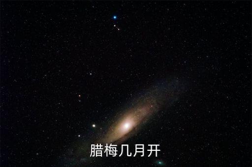 腊梅几月开
