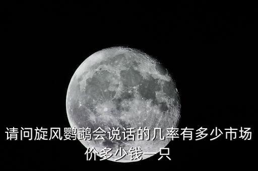 旋风鹦鹉，旋风鹦鹉有什么好看的呢