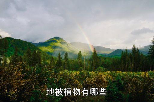 地被植物，地被植物有哪些