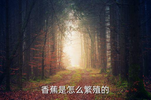 香蕉怎么繁殖，香蕉是怎么繁殖的