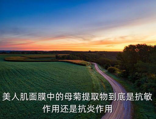 母菊，菊科值物原产欧洲中心黄色花瓣白色又名母菊其原名