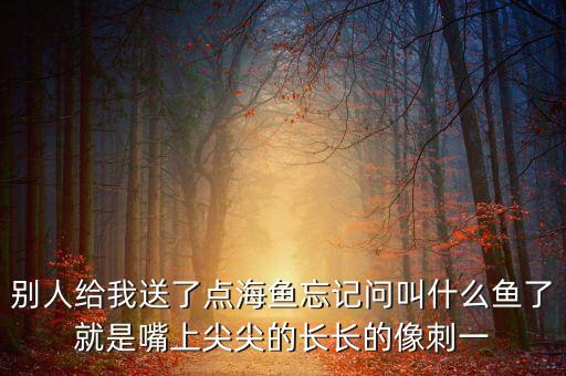 别人给我送了点海鱼忘记问叫什么鱼了就是嘴上尖尖的长长的像刺一