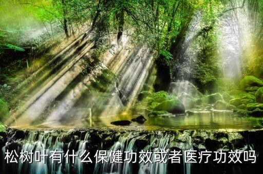松树叶有什么保健功效或者医疗功效吗