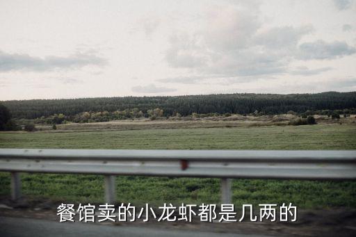 小龙虾规格，小龙虾有多大