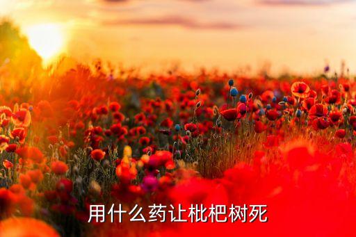 种枇杷树要死人，为什么现在的枇杷树容易死我家就很多死了