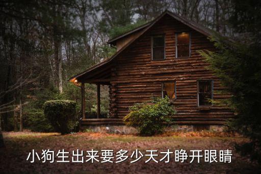 小狗几天睁眼睛，小狗多久睁眼算正常