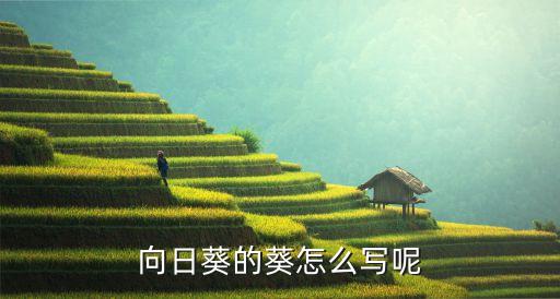 向日葵的葵怎么写呢