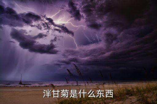 洋甘菊，泮甘菊是什么东西