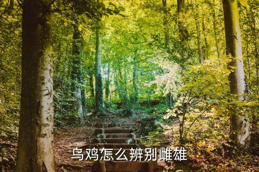 乌鸡怎么辨别雌雄