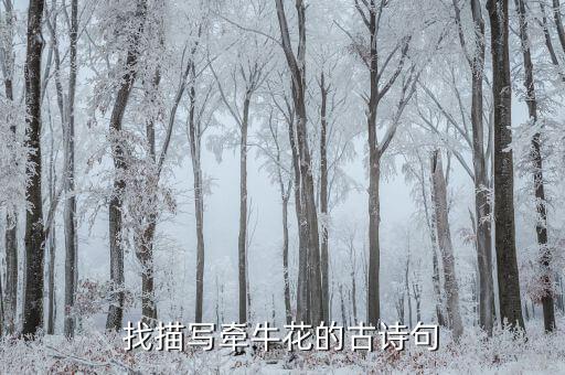 牵牛花云，牵牛花云为什么分布在美国等地