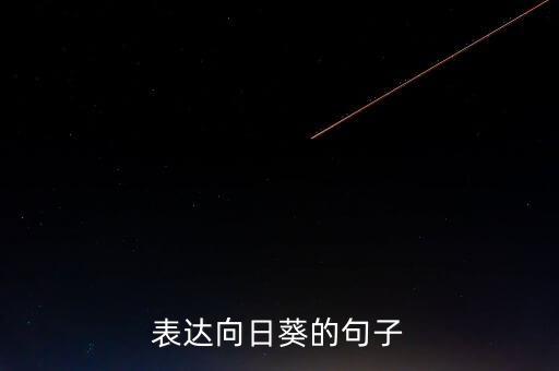表达向日葵的句子