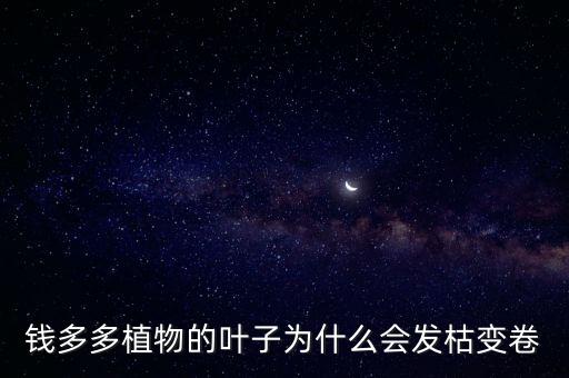 钱多多植物，有一种树的盘栽叫钱多多请问那是什么树